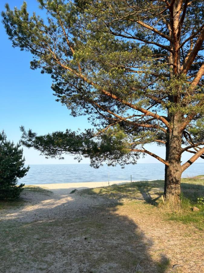 In Kesterciems